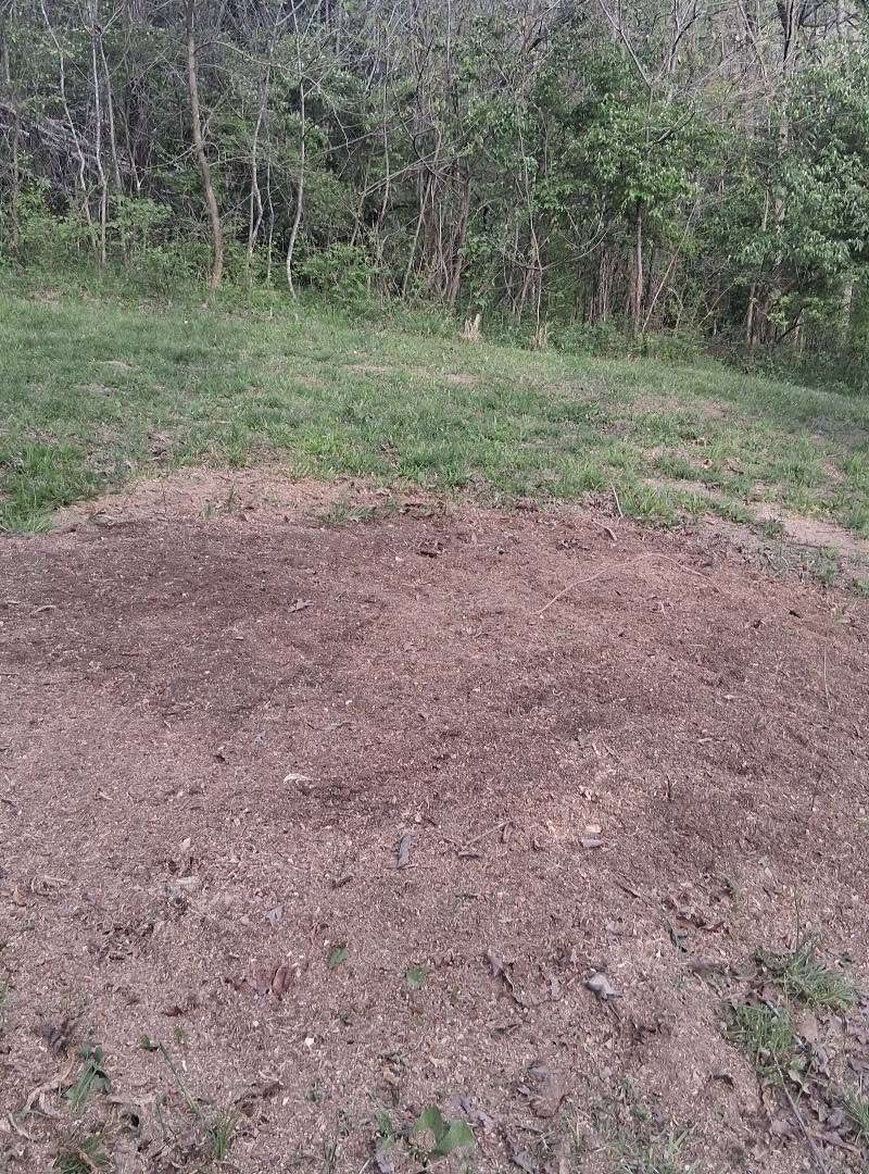 Stump Grinding