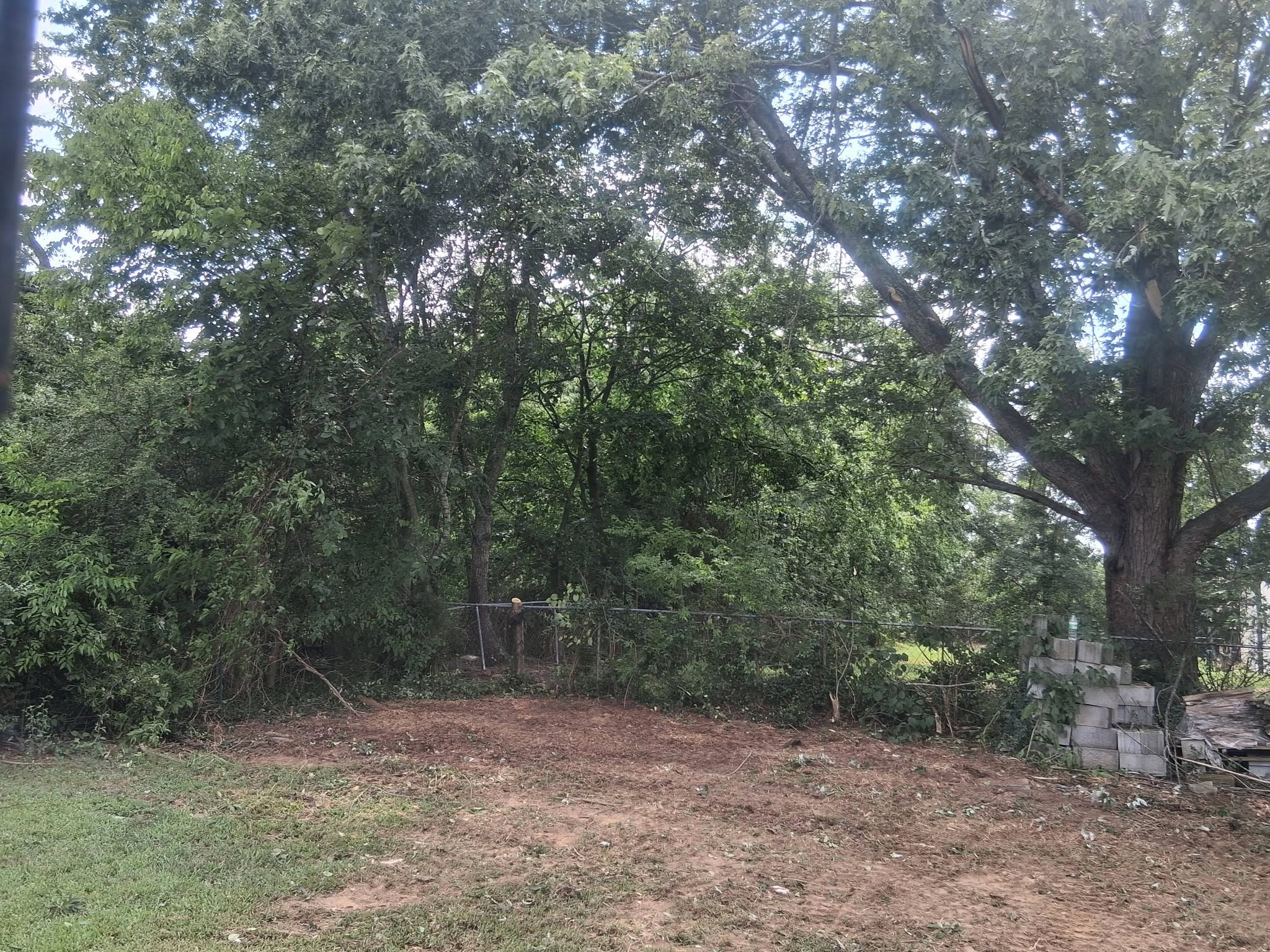 Property cleared and cleaned up after tree removal