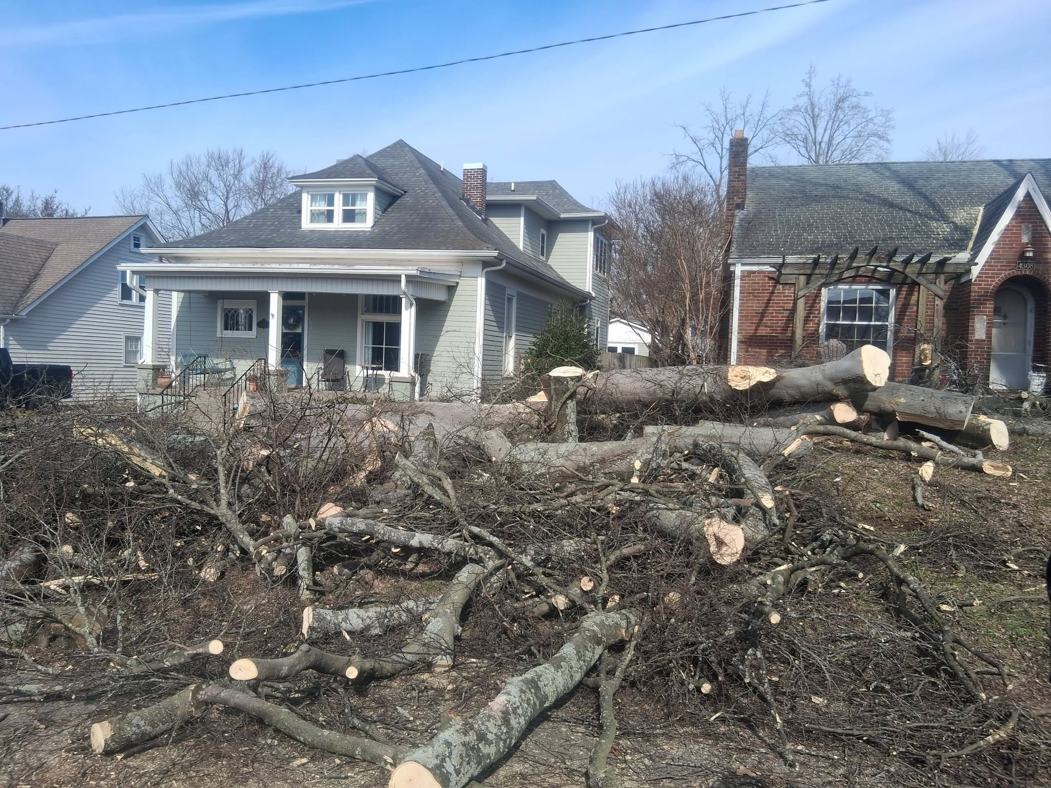 Large tree down over the yard before Triple Oak Services removal