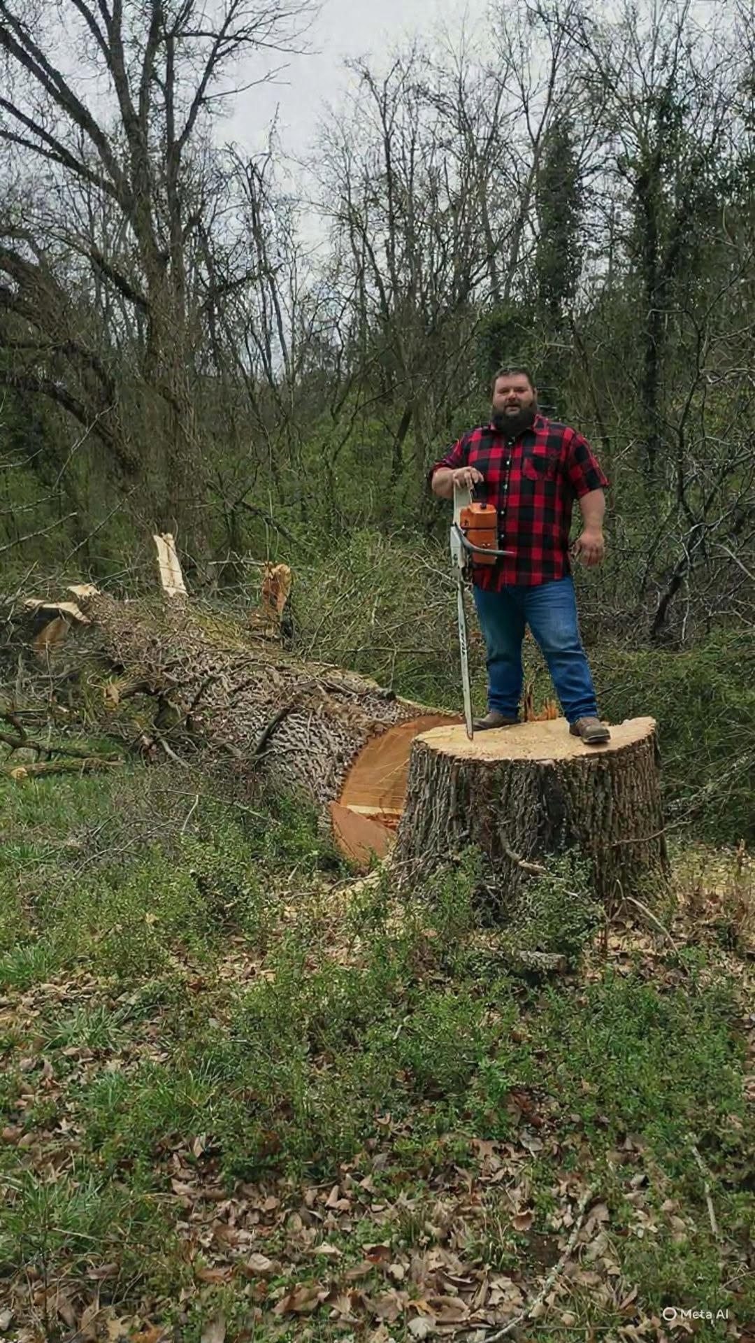 Triple Oak Services crew member on a cut tree stump