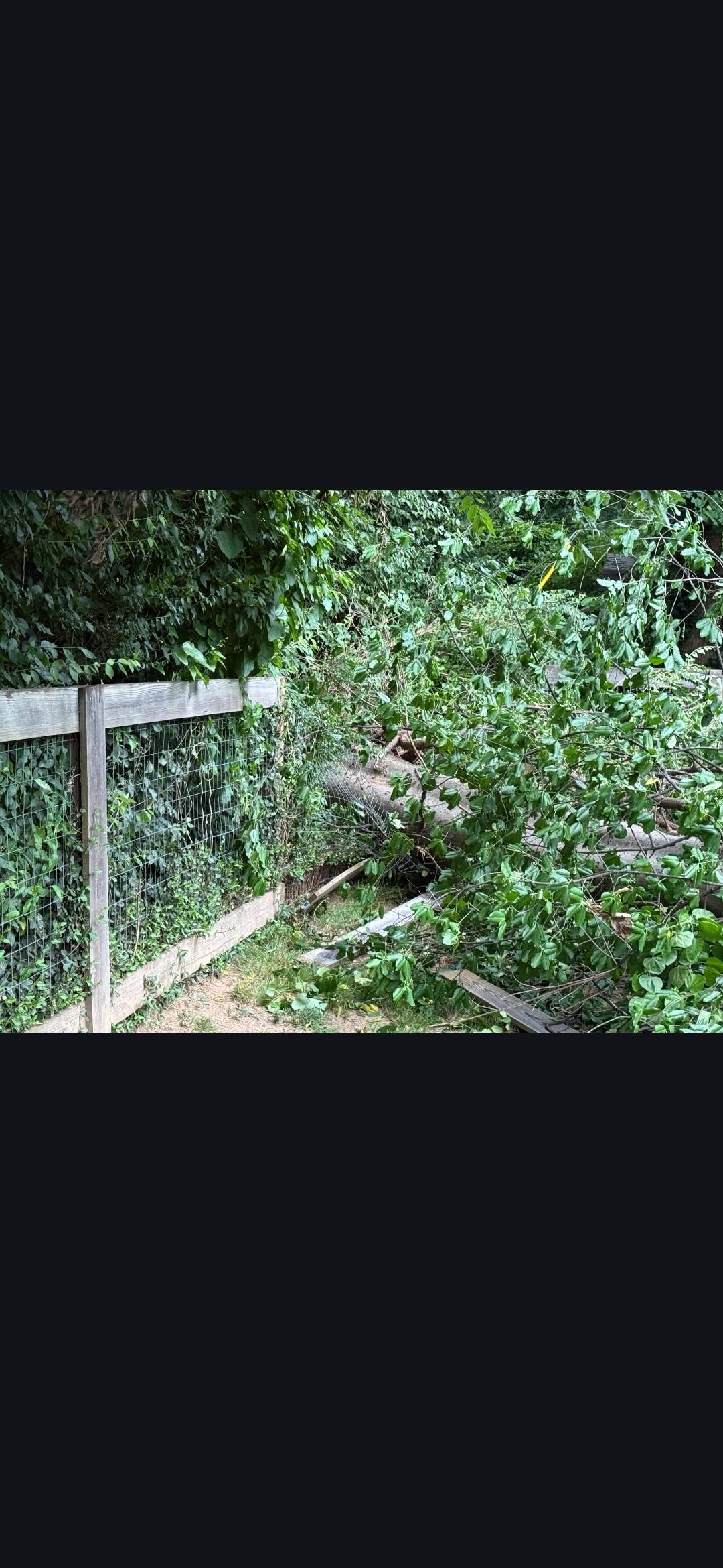 Storm Damage Cleanup